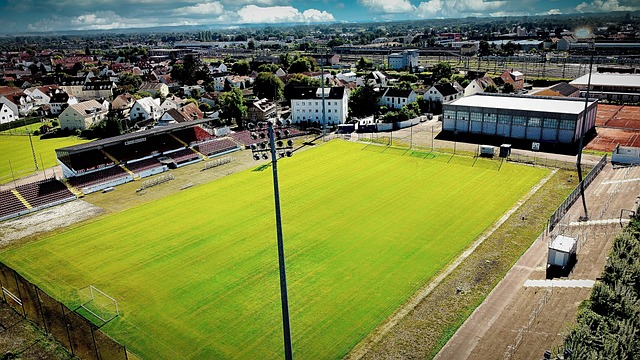 但在对战公 但在对战公