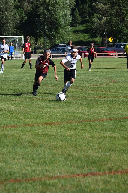 使他们在友 使他们在友