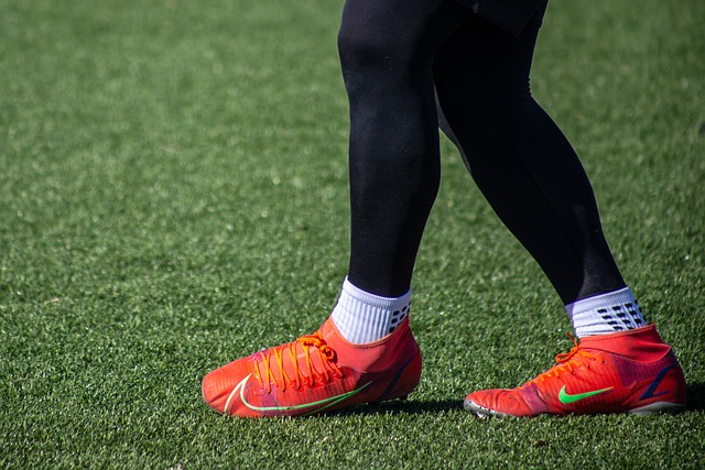 性和观赏性 性和观赏性