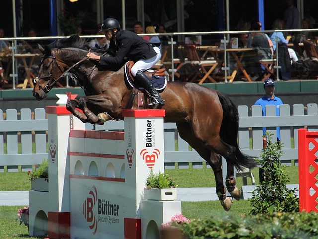 內部運作 內部運作